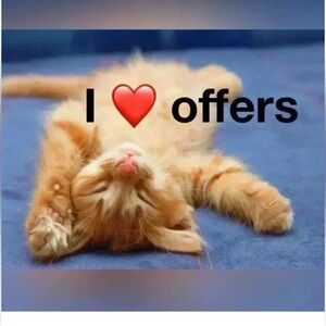 Cute Cat 💕💕 I ❤️ OFFERS   💕💕
